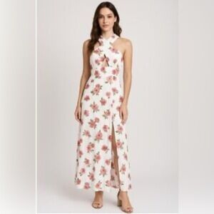 NWOT Brand New Swell maxi sundress